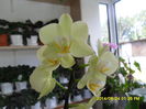 SAM_6947