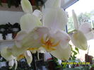 SAM_6948