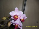SAM_7338