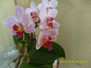 SAM_7373