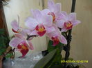 SAM_7374