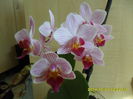 SAM_7375