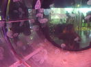 DSCF1646