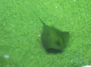 DSCF1648