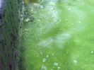 DSCF1649