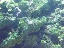 DSCF1654