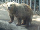 DSCF1672