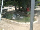 DSCF1676