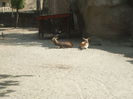 DSCF1677