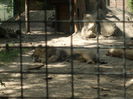 DSCF1678