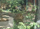 DSCF1680