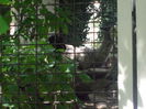 DSCF1683