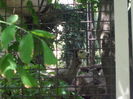 DSCF1684