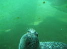 DSCF1686
