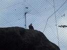 DSCF1700