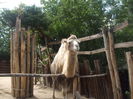 DSCF1723