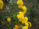 DSCF0469