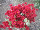 DSCF0482