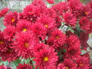 DSCF0483