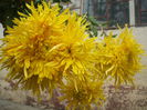 DSCF0486