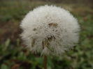 DSC01200