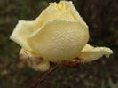 DSC01214