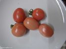 17920103_4_644x461_vand-seminte-rosii-cherry-roz-pink-plum-agro-si-industrie