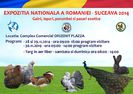 afis-final