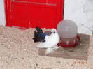 DSC03039