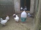 Imag 011929