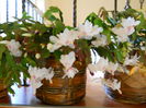 DSCN4903_003