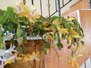 DSCN4906_006