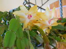 DSCN4907_007