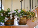 DSCN4912_012