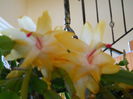 DSCN4916_016