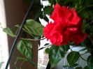 IMG_20141114_140900