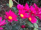 IMG_20141112_134720