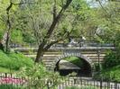 p291526-New_York-Central_Park_in_the_Spring