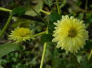 DSCN2363