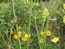 DSCN2567