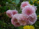 DSCN2577