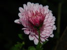 DSCN2621