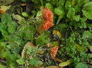 DSCN2769