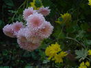 DSCN2770