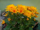 DSCN2941