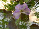 DSCN3458