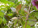 DSCN3460