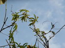DSCN3462