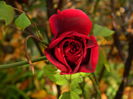 DSCN3470