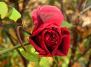DSCN3471